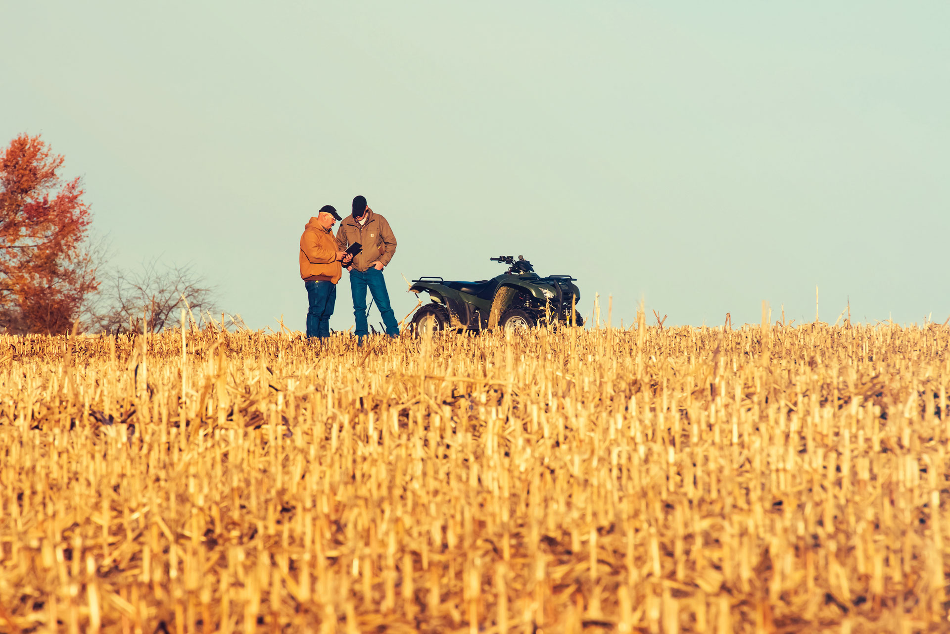 two farmers in a field looking at Link remote management system | Shivvers