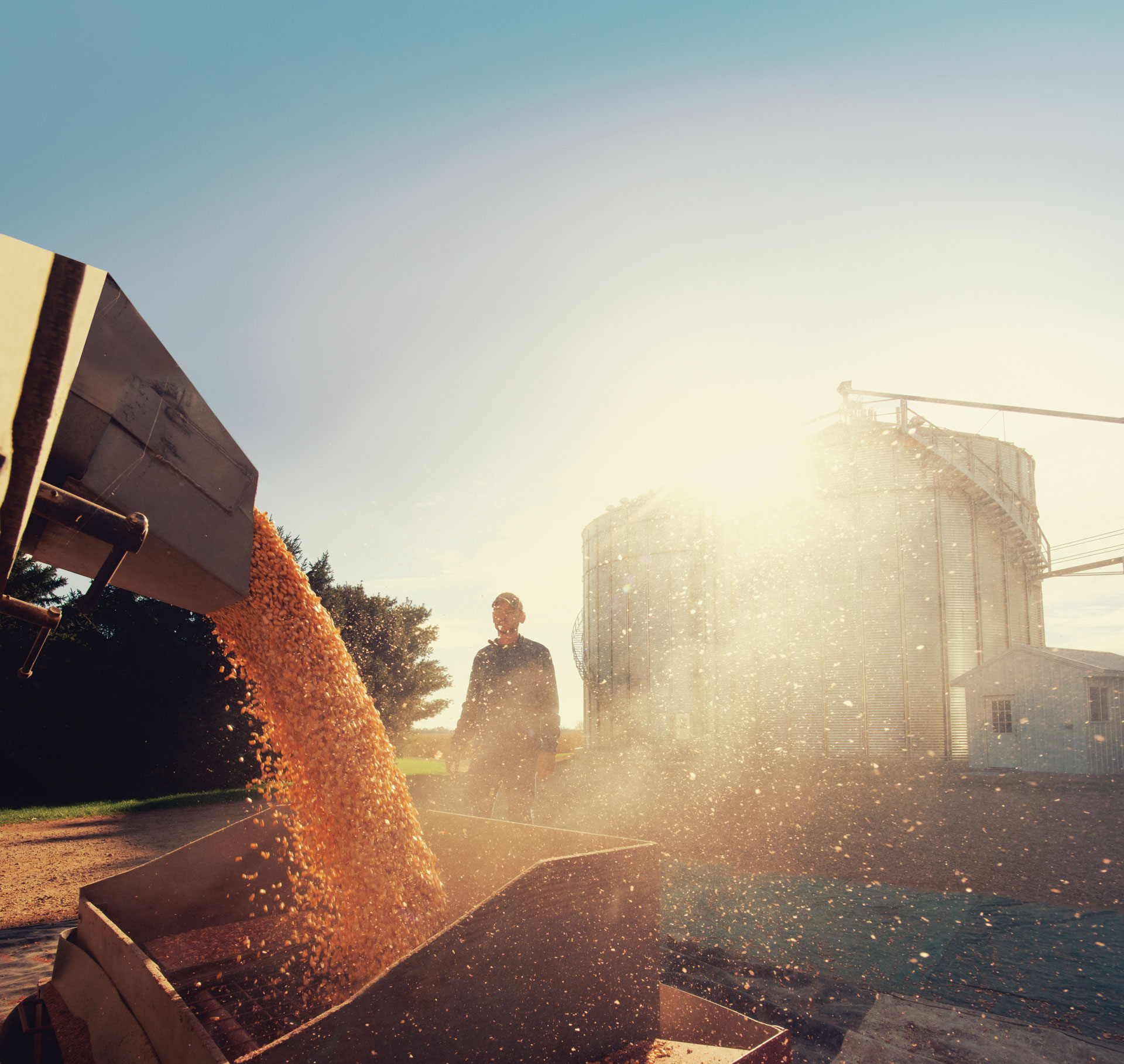 farmer standing behind grain being unloaded | Shivvers